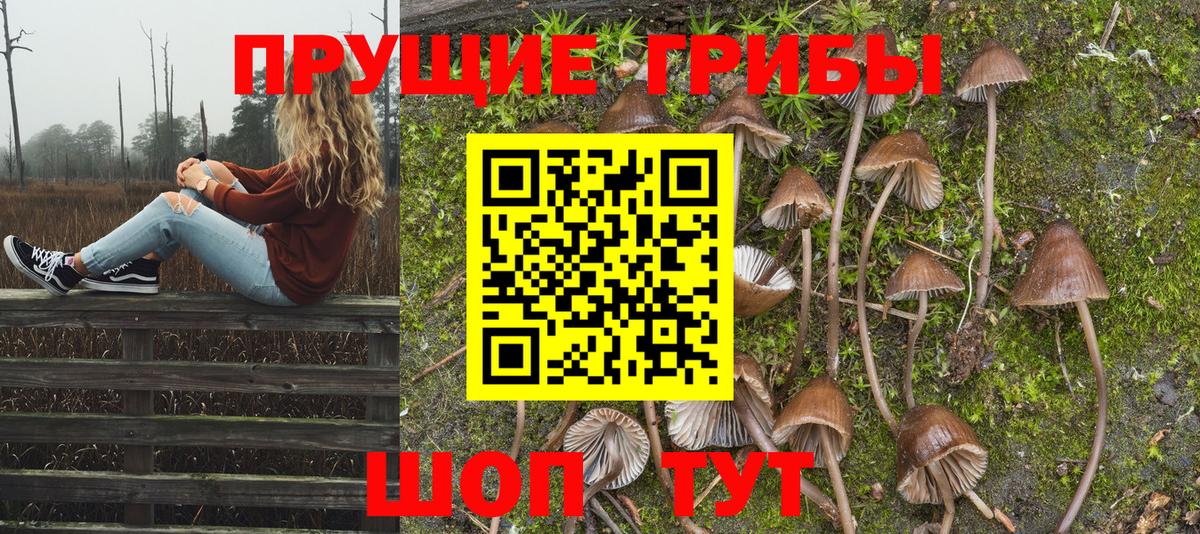 Галлюциногенные грибы Magic Shrooms  Галлюциногенные грибы прущие грибы  Краснокаменск  Вход с VPN 